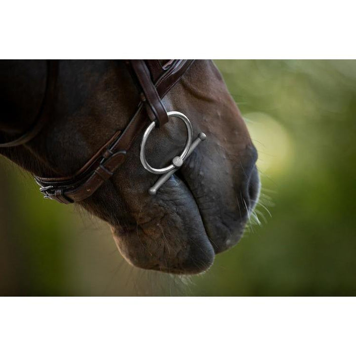 SALE Fager Sara Titanium Baby Fulmer