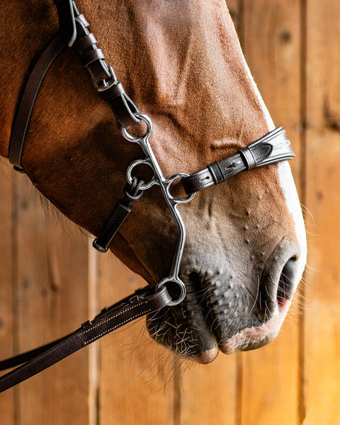 Fager Hunter Hackamore Short Shank