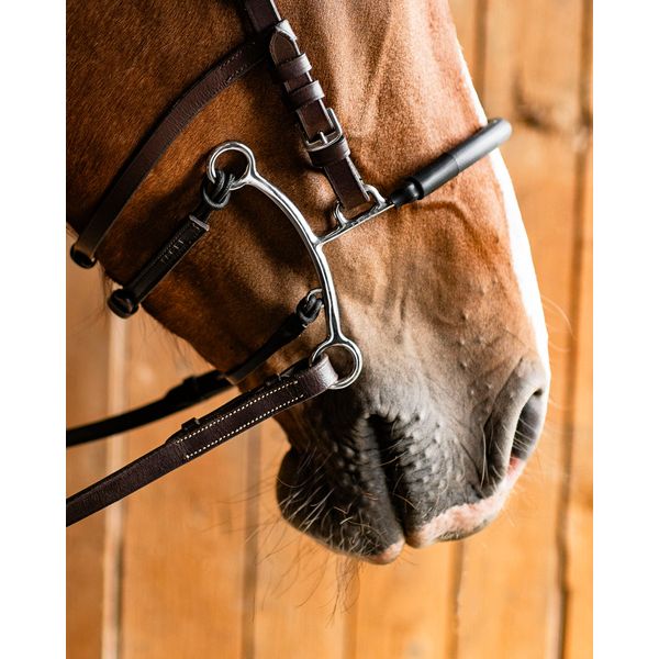 Fager Hector Hackamore Short Shank