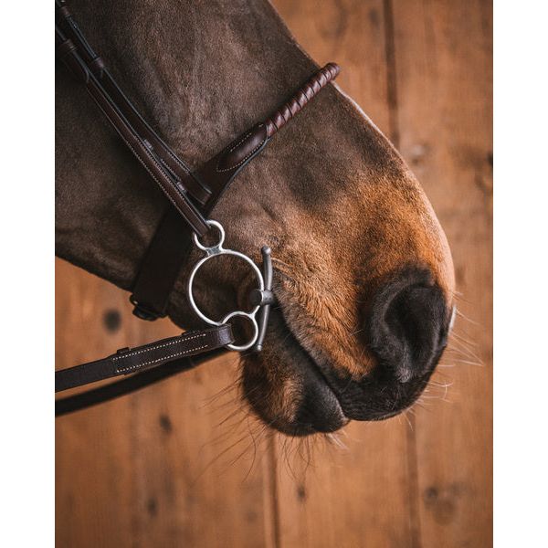Fager Fredric Titanium Universal
