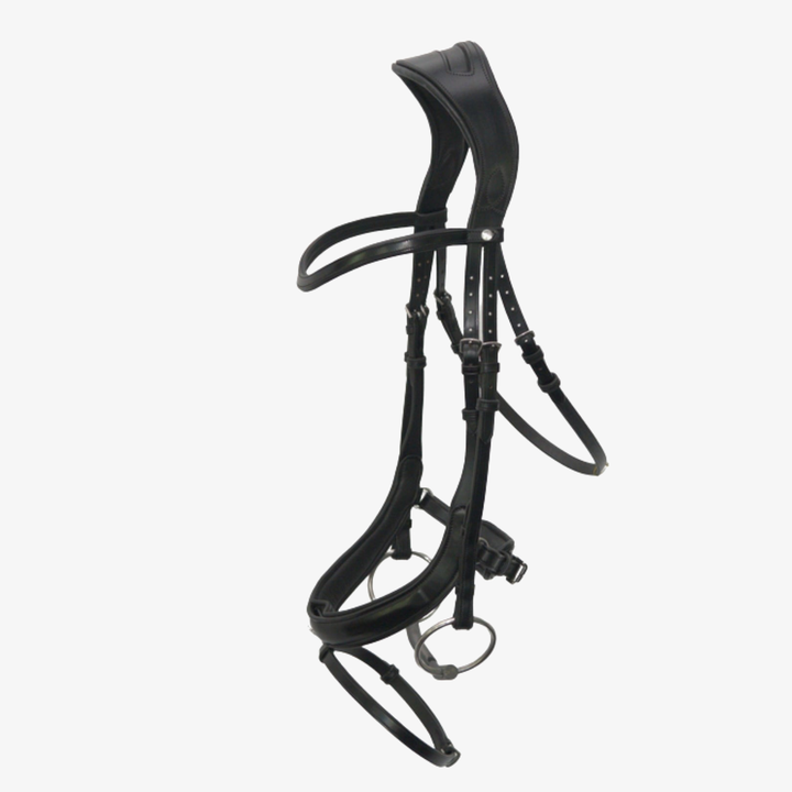 Advance Dressage Bridle