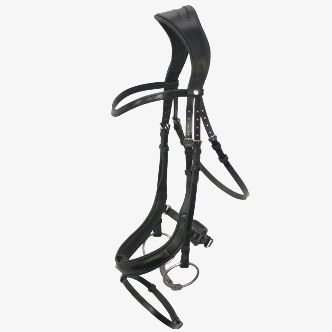 Advance Dressage Bridle