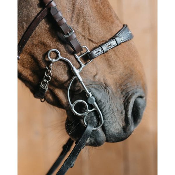 Fager Otto Hackamore Combination Bit Short Shank