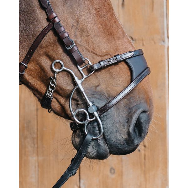 Fager Otto Hackamore Combination Bit Short Shank