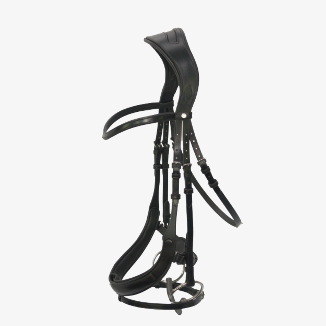 Advance Dressage Bridle