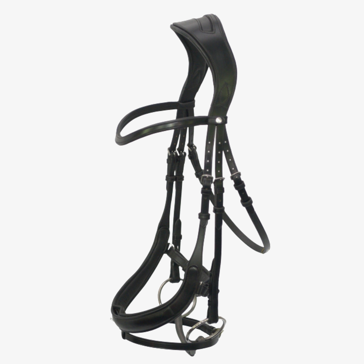 Advance Dressage Bridle