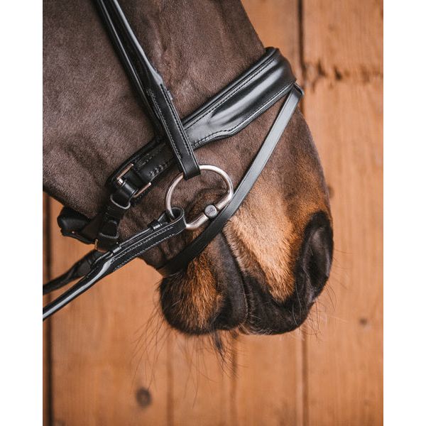 Fager Vendela Titanium Bradoon Fixed Ring