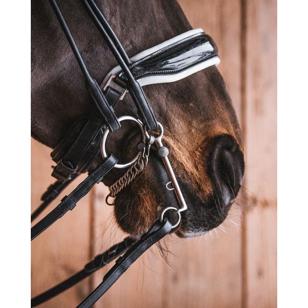 Fager Vendela Titanium Bradoon Loose Ring