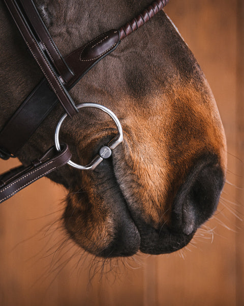 Fager Harriet Titanium Fixed Ring