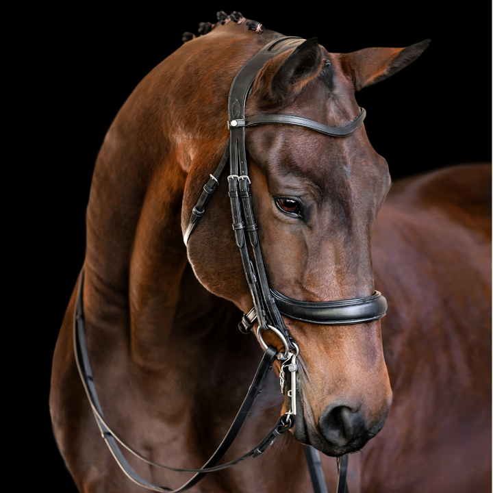 Advance Double Bridle