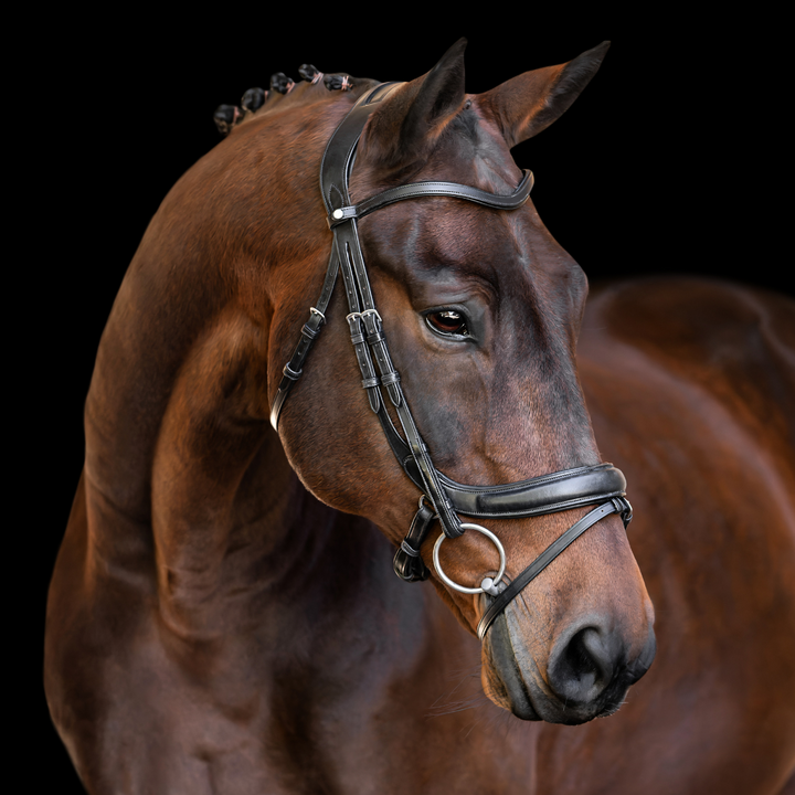 Advance Dressage Bridle