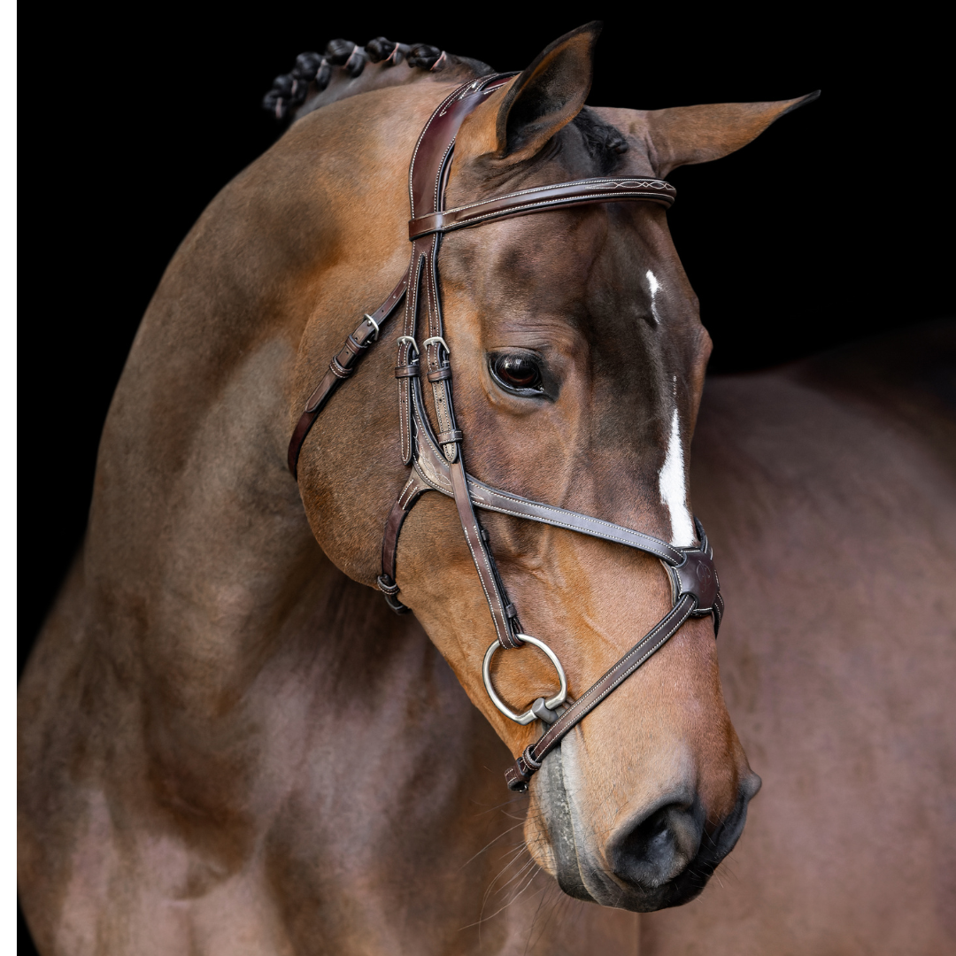 Athena Anatomic Jumping Bridle