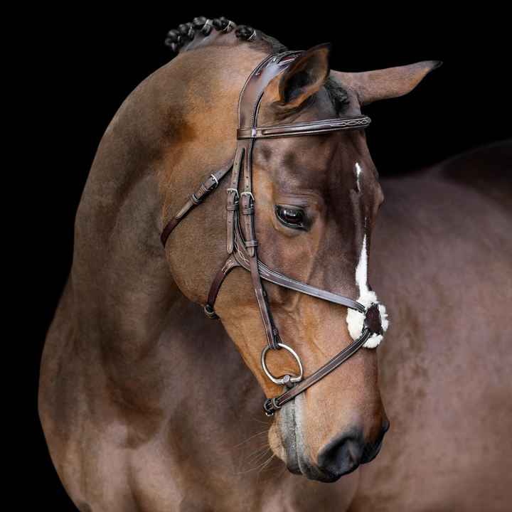 Athena Anatomic Jumping Bridle