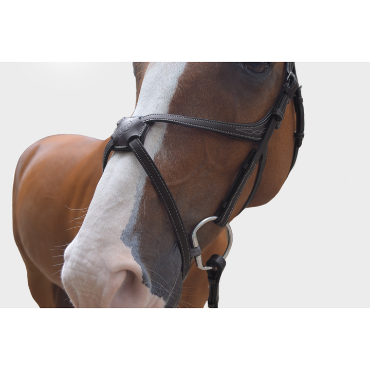 Athena Anatomic Jumping Bridle