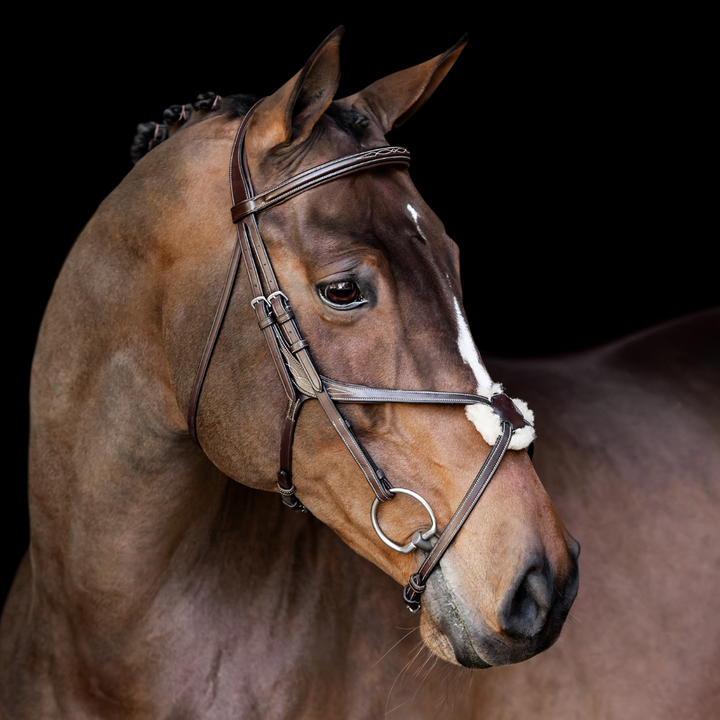 Athena Traditional Bridle