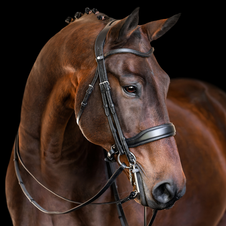 Destiny Double Bridle