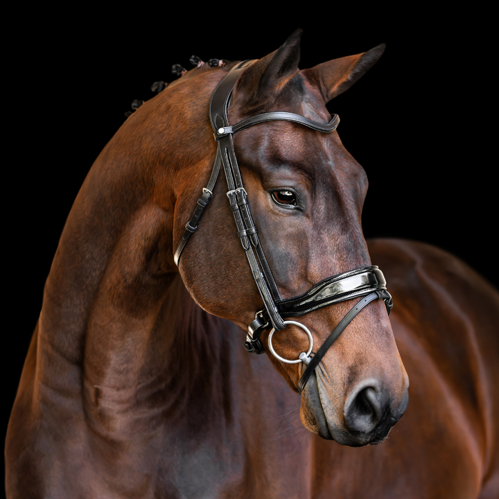 Destiny Patent Dressage Bridle