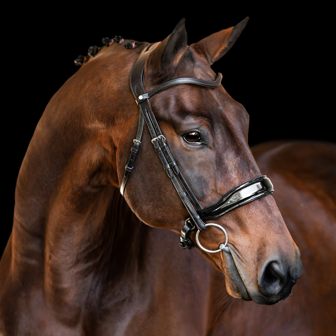 Destiny Patent Dressage Bridle