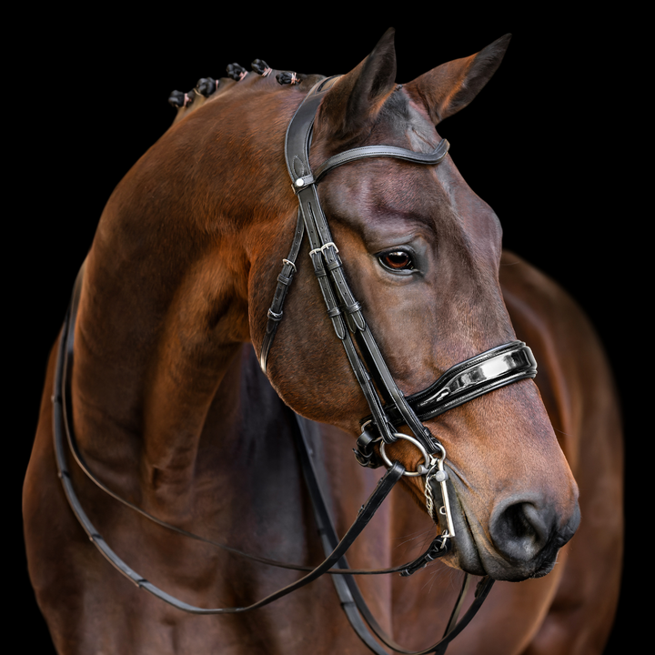 Destiny Patent Double Bridle