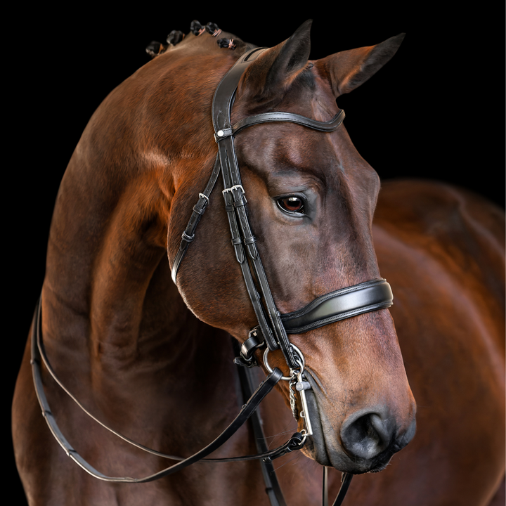 Destiny Patent Double Bridle