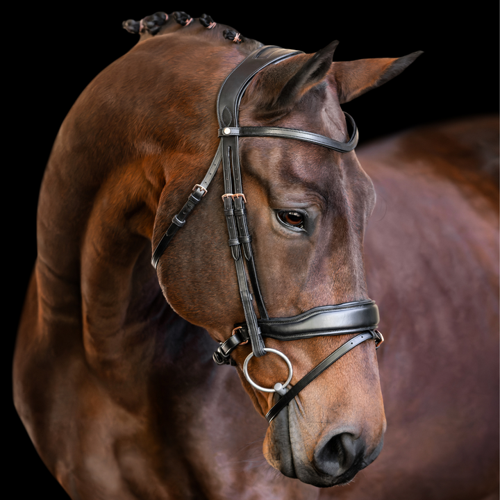 Destiny Rosegold Dressage Bridle