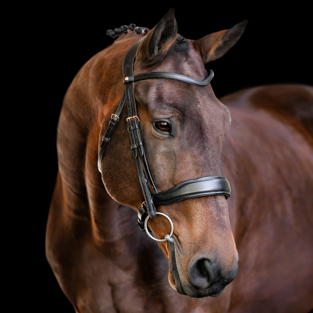 Destiny Rosegold Dressage Bridle