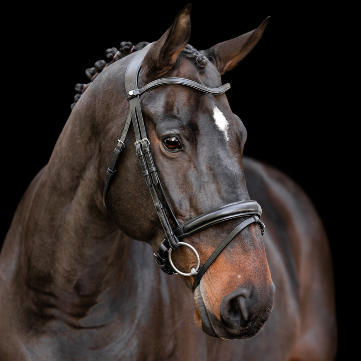 Elegance Dressage Bridle