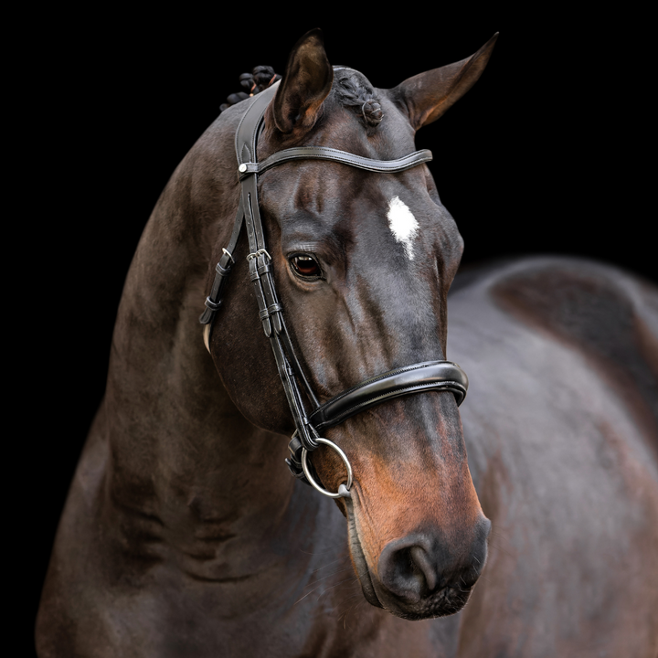 Elegance Dressage Bridle