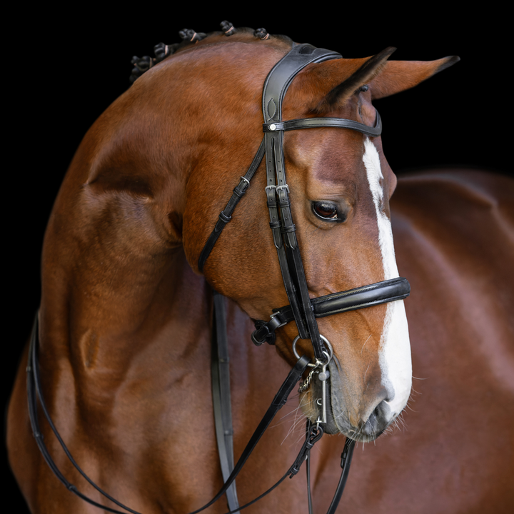 Elegance Double Bridle