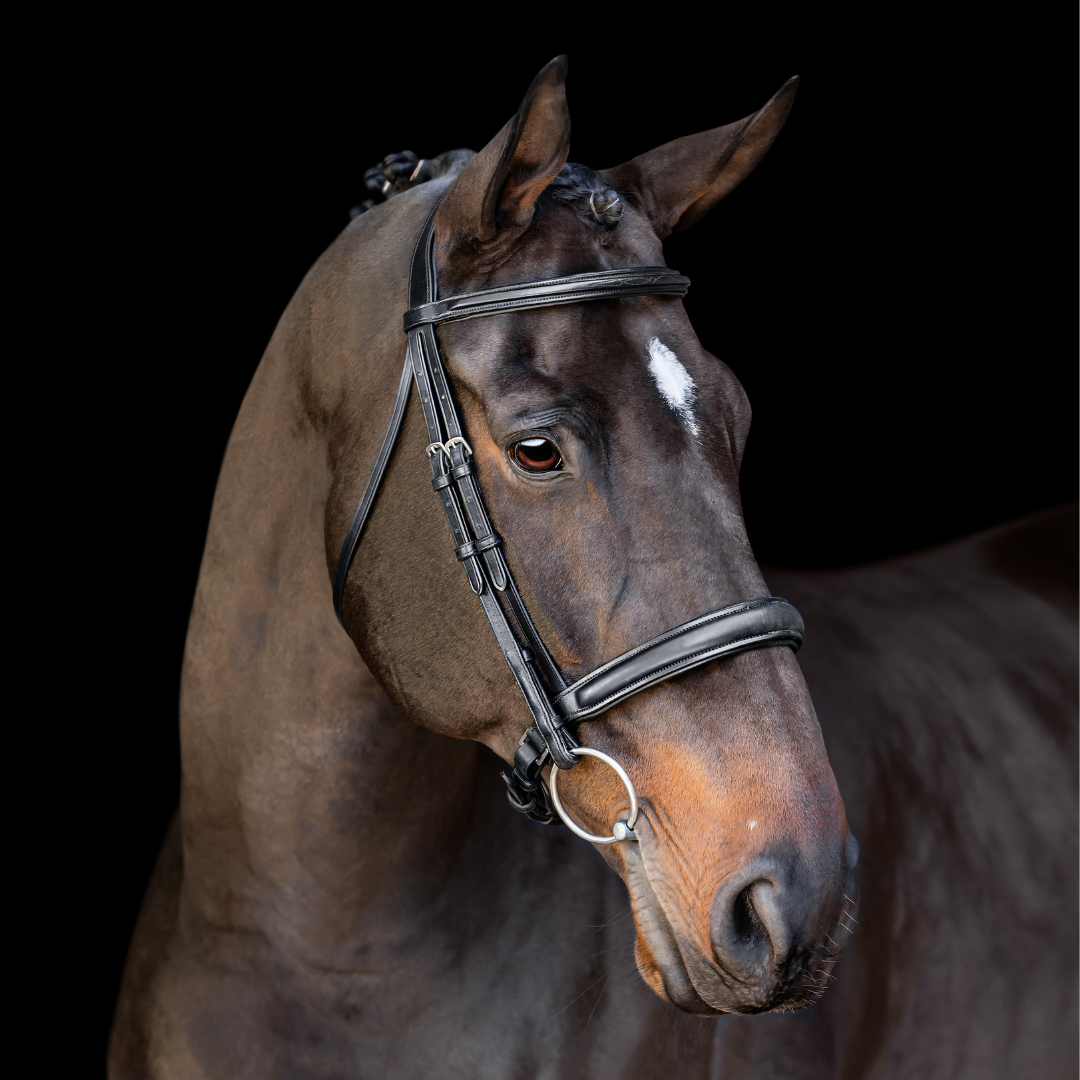 Elegance Traditional Bridle