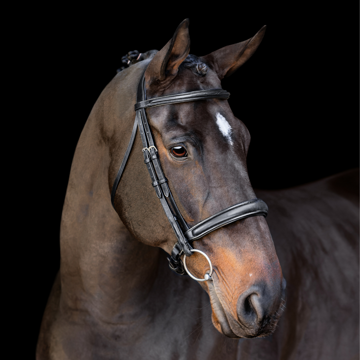 Elegance Traditional Bridle Cream Stitching