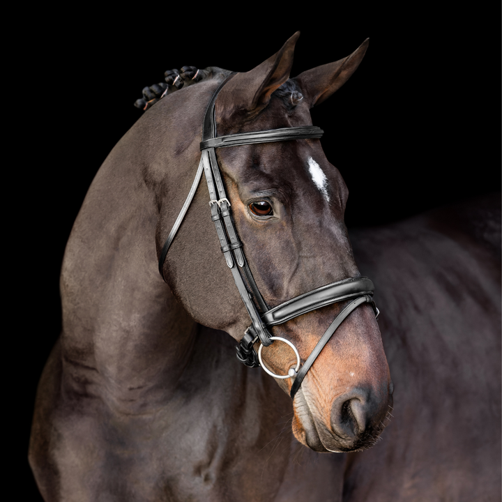 Elegance Traditional Bridle