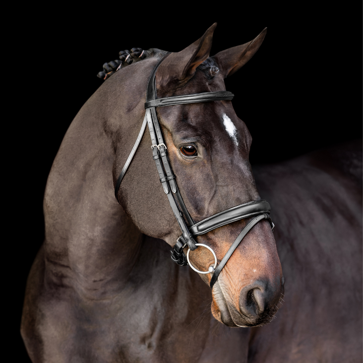 Elegance Traditional Bridle Cream Stitching