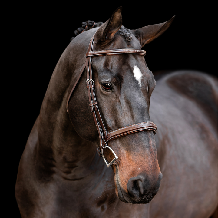 Encore Bridle w/ Removable Flash