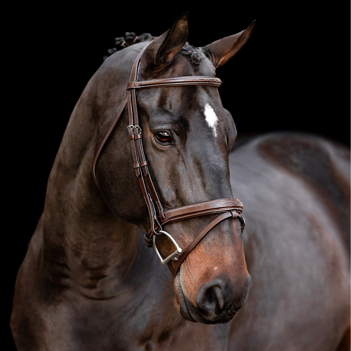 Encore Bridle w/ Removable Flash