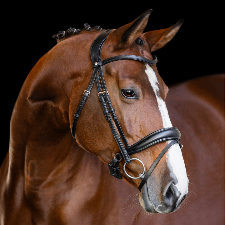 Infinity Rosegold Dressage Bridle