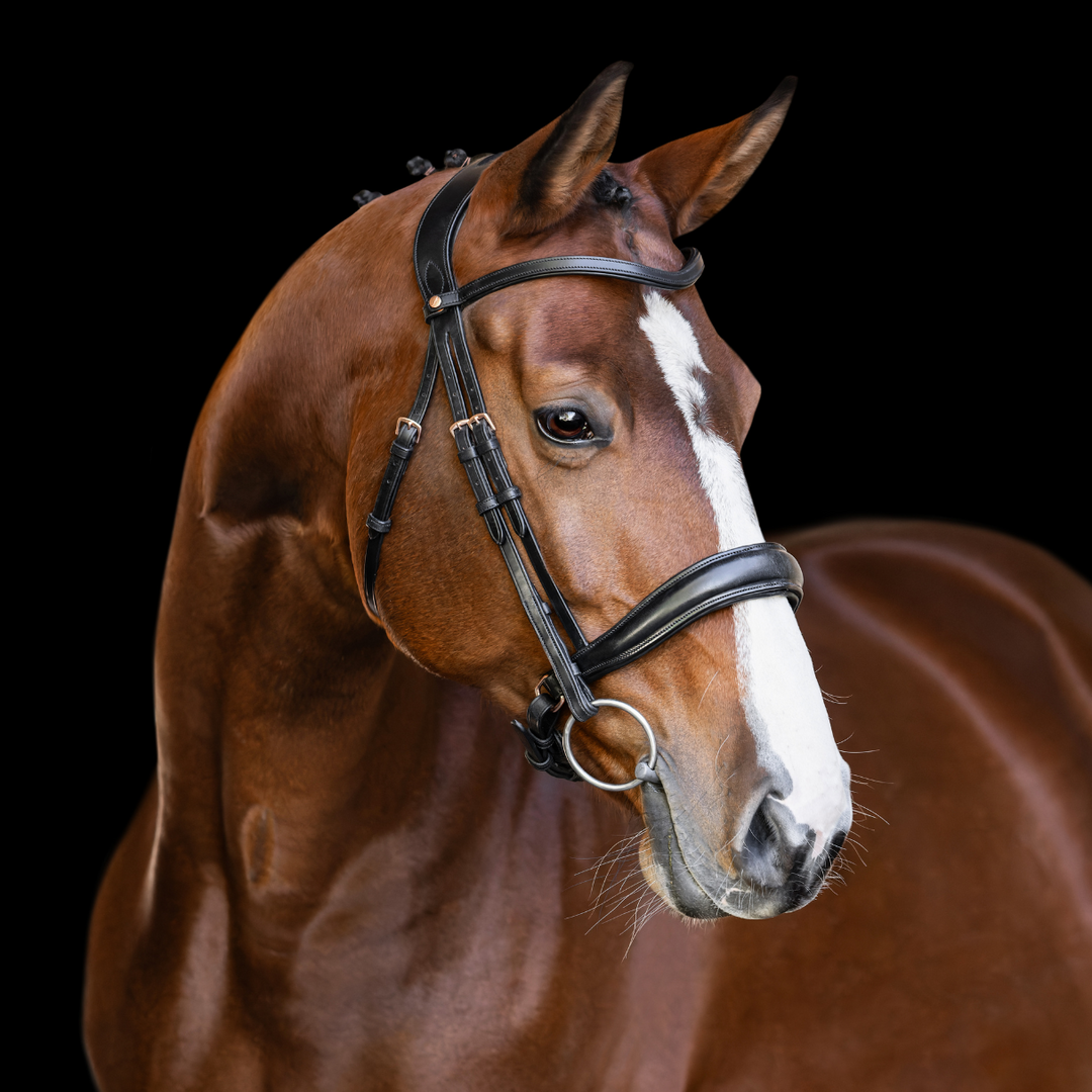 Infinity Rosegold Dressage Bridle