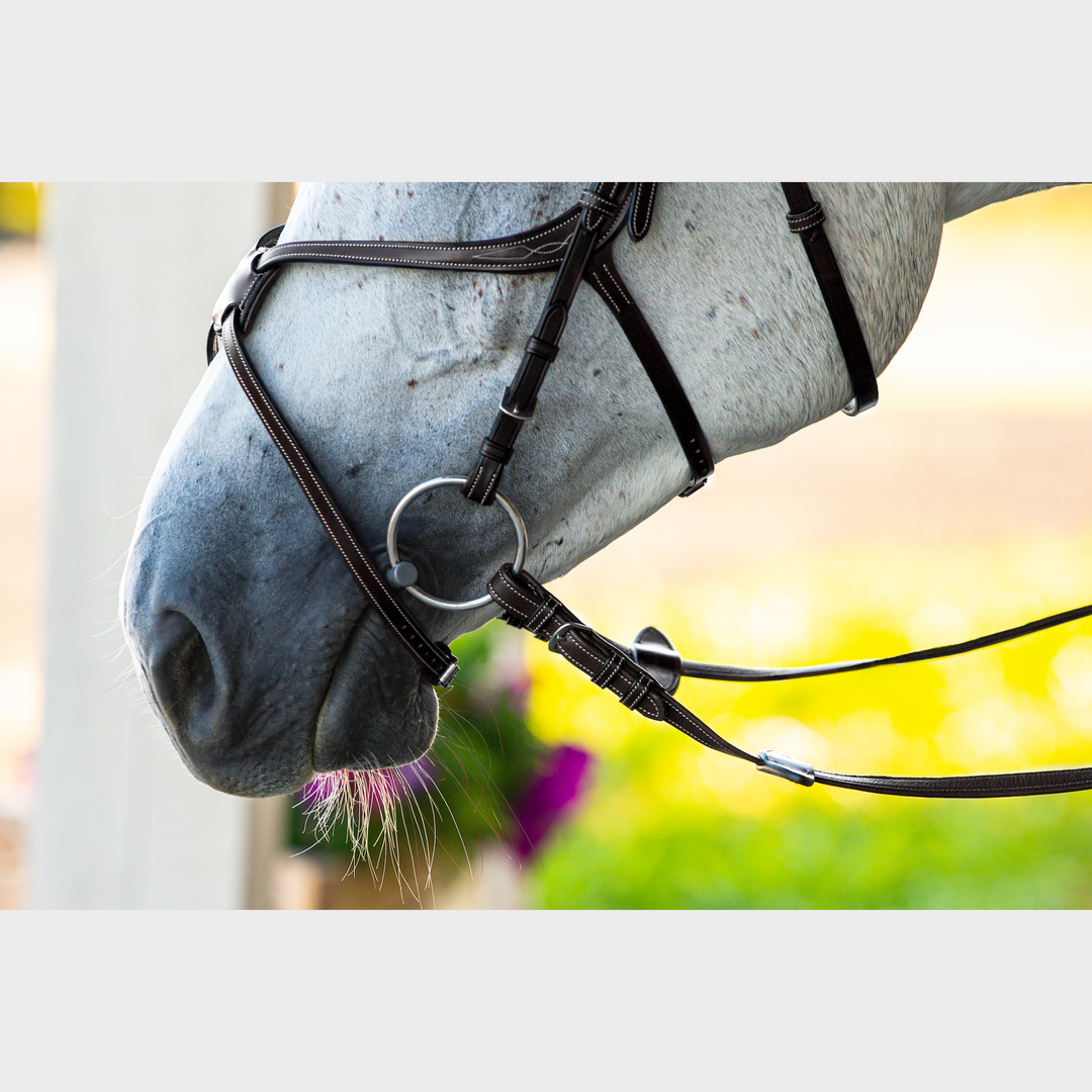 Supreme Noseband