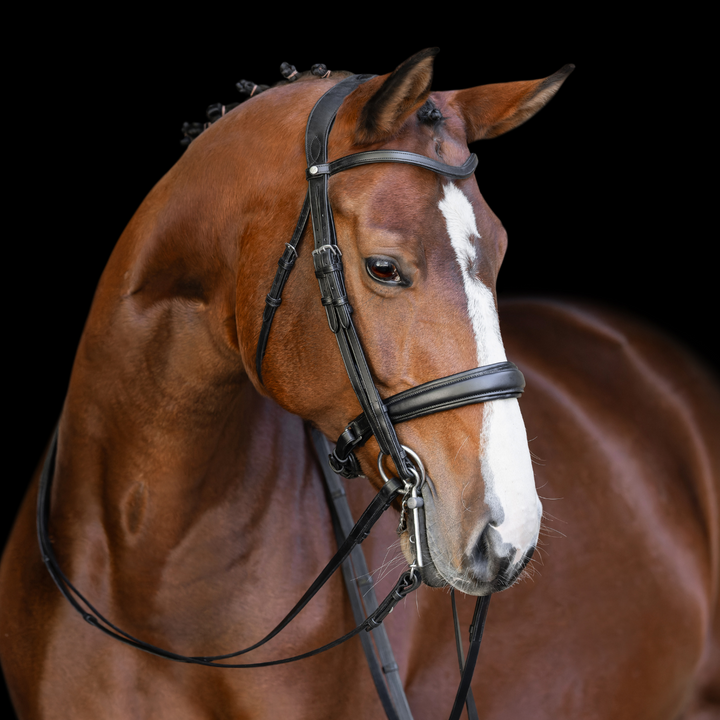 Olympus Double Bridle