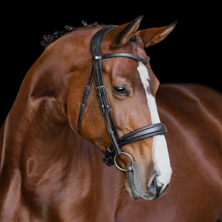 Olympus Dressage Bridle