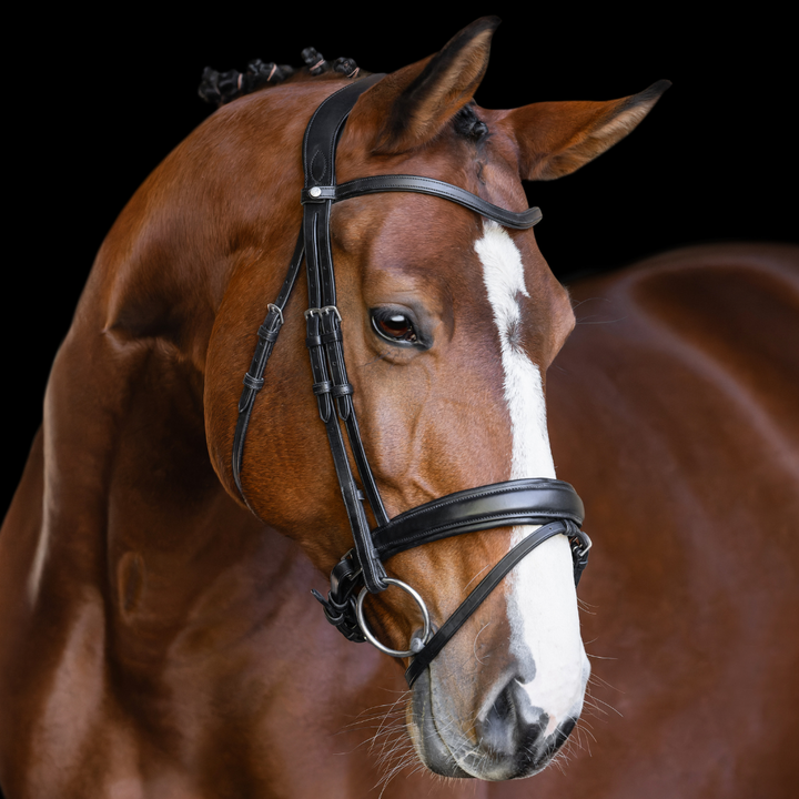 Olympus Dressage Bridle