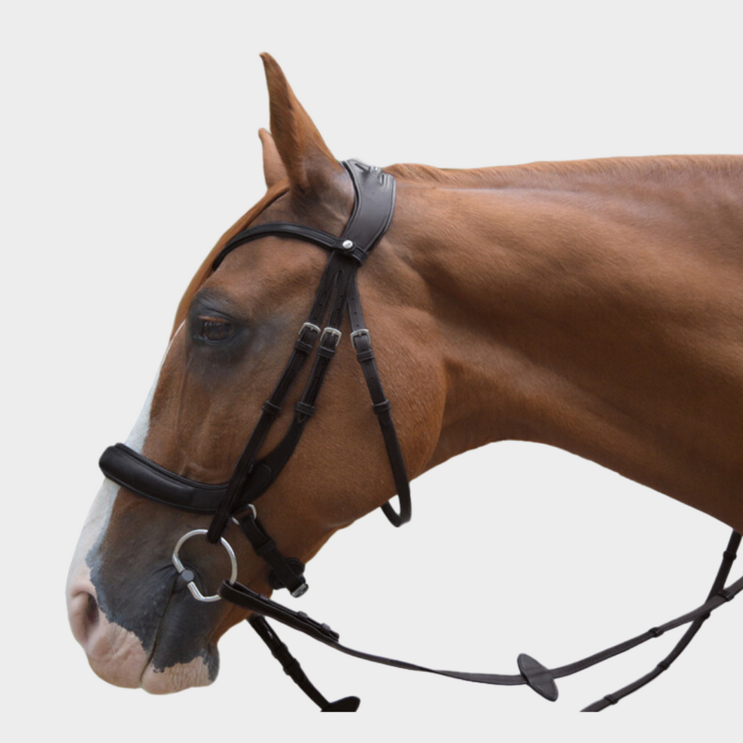 Advance Jumping Bridle