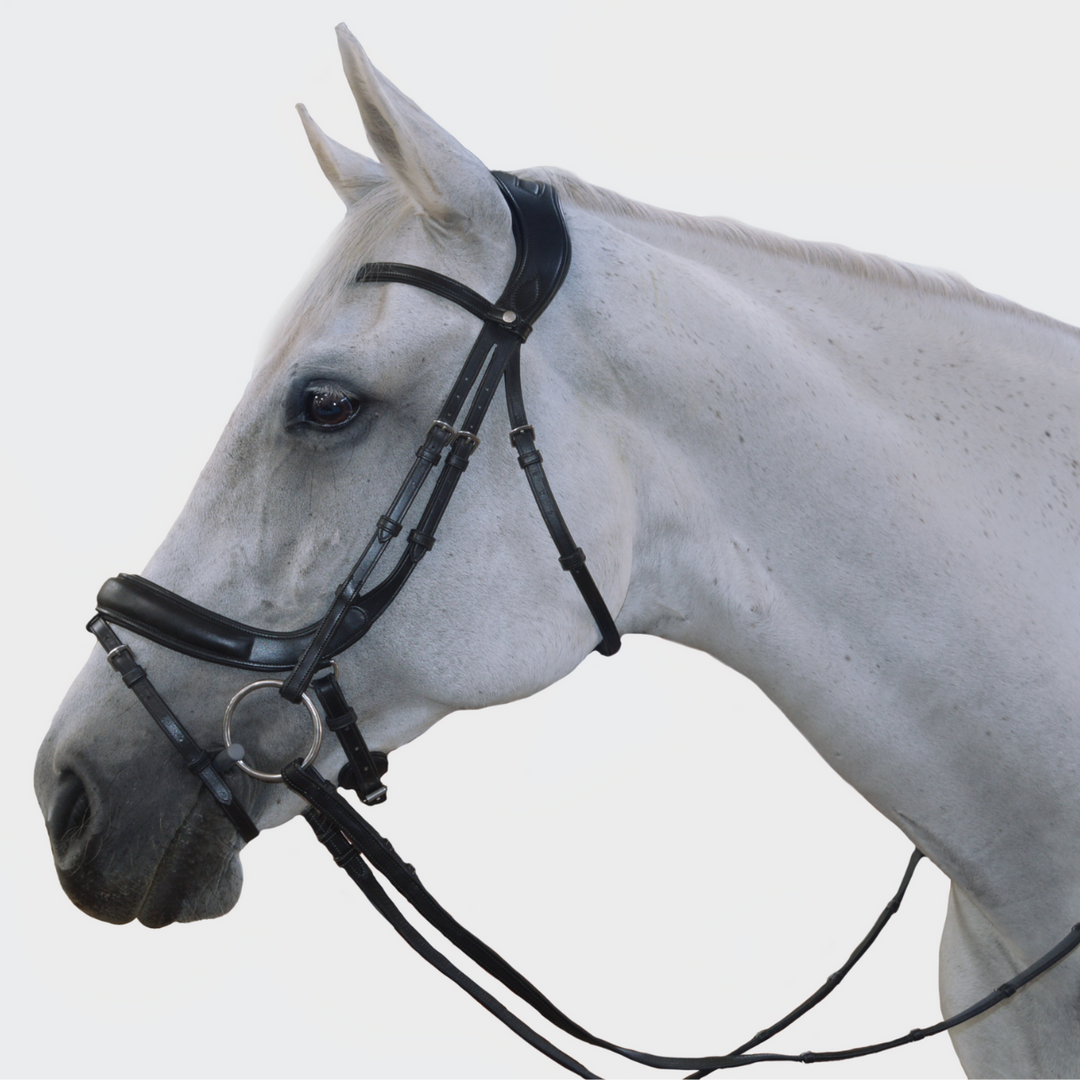 Advance Dressage Bridle