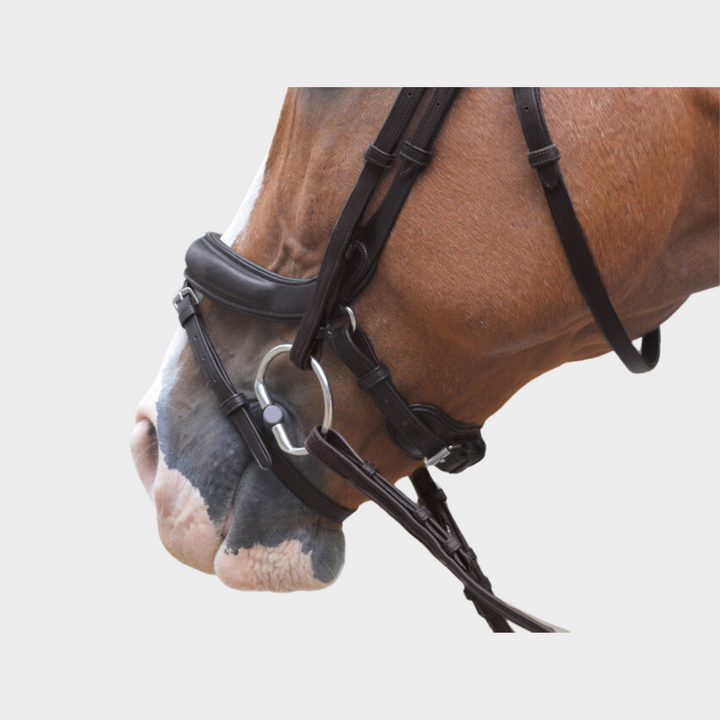 Advance Jumping Bridle