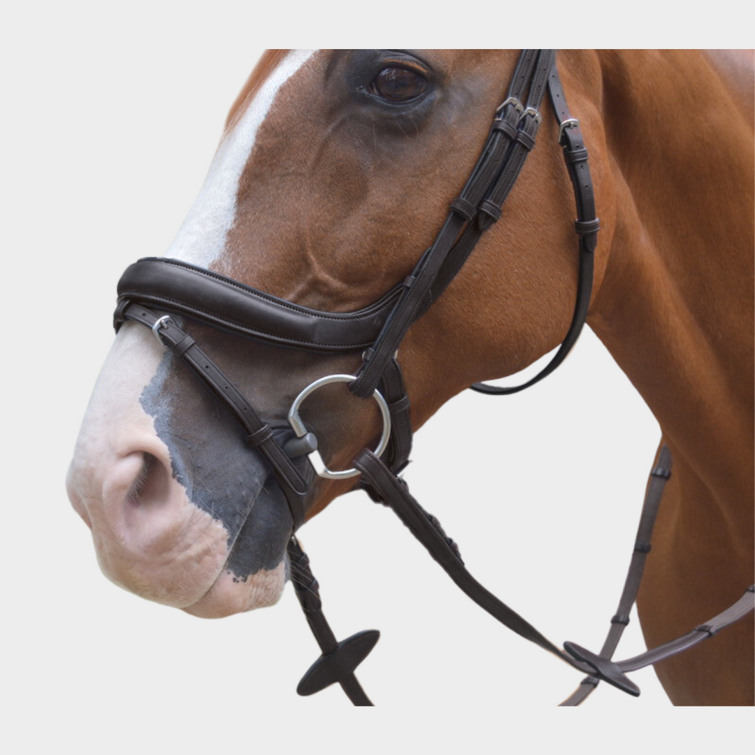 Advance Jumping Bridle