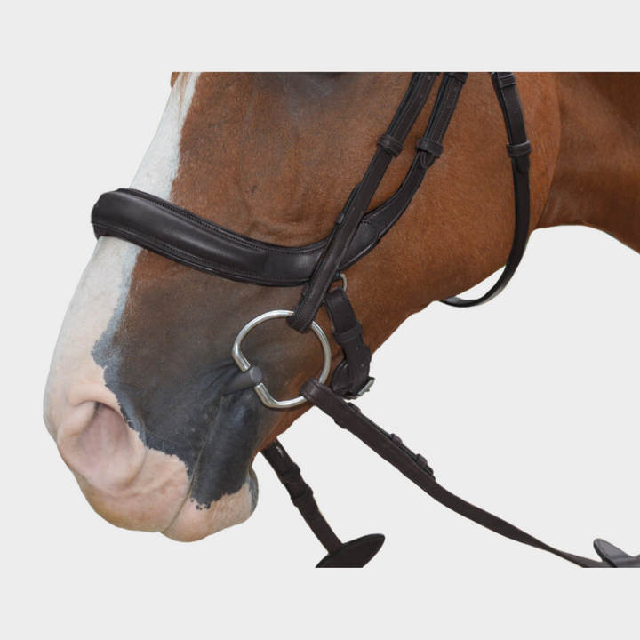 Advance Jumping Bridle