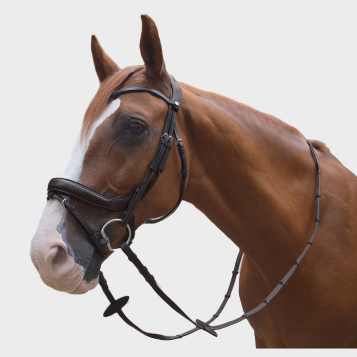 Advance Jumping Bridle