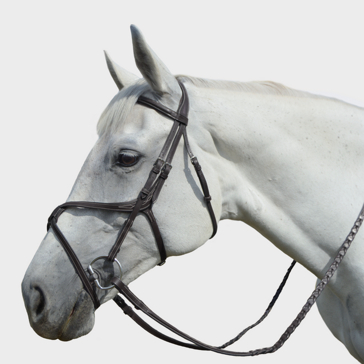 Athena Traditional Bridle