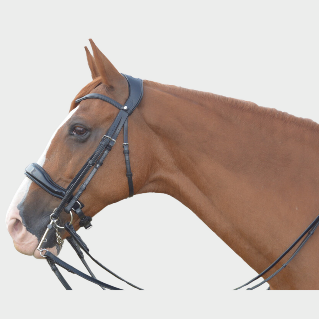 Destiny Patent Double Bridle