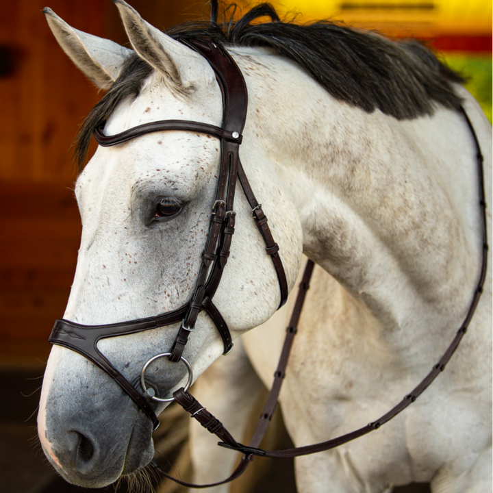 Precision Jumping Bridle